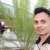 nuralamkhan549