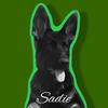 sadiegsd