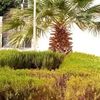 mourad.mourad3909