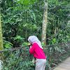 fivialifia