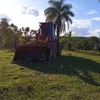 clenioleles5