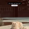 yaraaaaaaaax