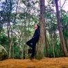 luan_siul