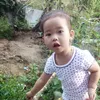 t_bao_chau