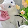......19031