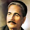 hassanmughal6583