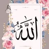 user1193235276729