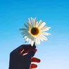 farida_ismail10