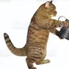 pookiedookiesupercookie