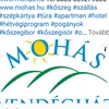 mohasvendeghaz