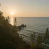 alex_0114a