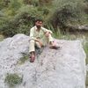 shoukatrehmani191