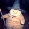 miaw_154