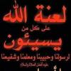 amlsayed872