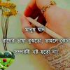 mdmizanurrahma158