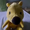 maksi12z