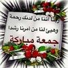 hanafy231