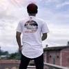 giss_graff