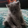 khairulnizz7