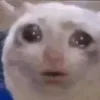 hajlllllq