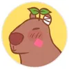 keynorzmclfly