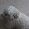 dyj0w0xrzuxl