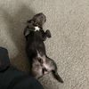 lifeofsnoopy23