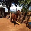 alexbarbosa7169