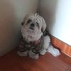giovanna.alb