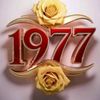 user1133336252817