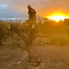 ramonsurfcasting
