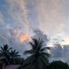 maychilau