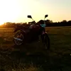 sffeexy149