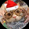 bi.nguyn.anh.thai