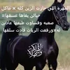 y_ym56