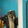 bil_0840