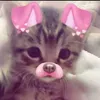 imjsagirl0000