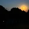adamjanik826