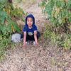 mashittiieb