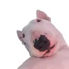 Кинолог🐾