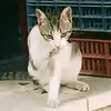 wth...a