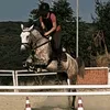 x.katie.equestrian.x