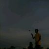 habb701