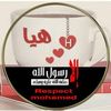 emanabohashem4