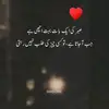 _wafa_soonh_abbasi4