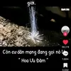 huuthai67._