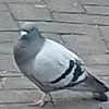 mynameisray18