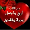 dys50frdpv2d