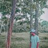 vihanga_232