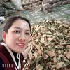 Thảo Dược Mai Anh